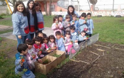 Corrientes y Misiones: un viaje lleno de cosechas