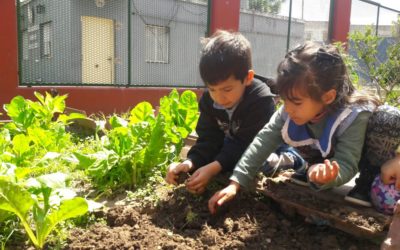 Bruno Matarazzo y Asociados en labor solidaria con Fundación Huerta Niño