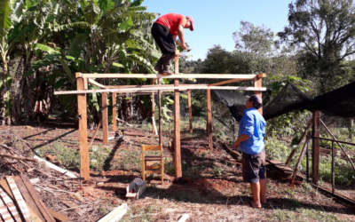 ¡La huerta de la escuela Nº925 sigue creciendo!