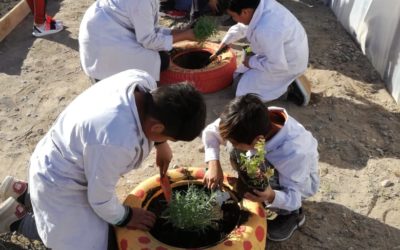 ¡De norte a sur, los proyectos se multiplican por todo el país!