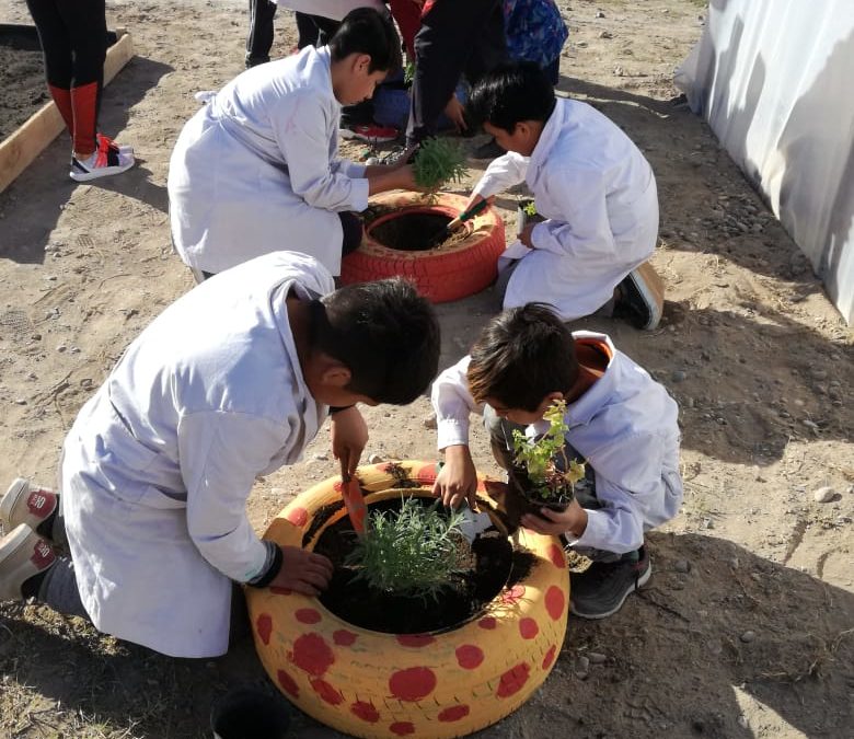 ¡De norte a sur, los proyectos se multiplican por todo el país!