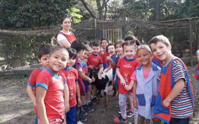 ¡Un proyecto de huerta que crece junto a los niños!