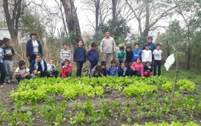 ¡Proyectos de huerta y Ferias de alimentos saludables!