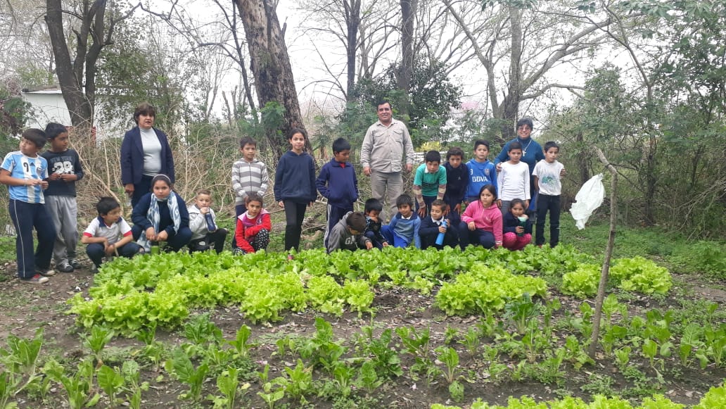 ¡Proyectos de huerta y Ferias de alimentos saludables!