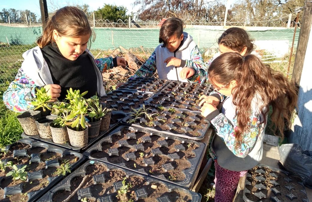 ¡Armá tu propia huerta agroecológica!