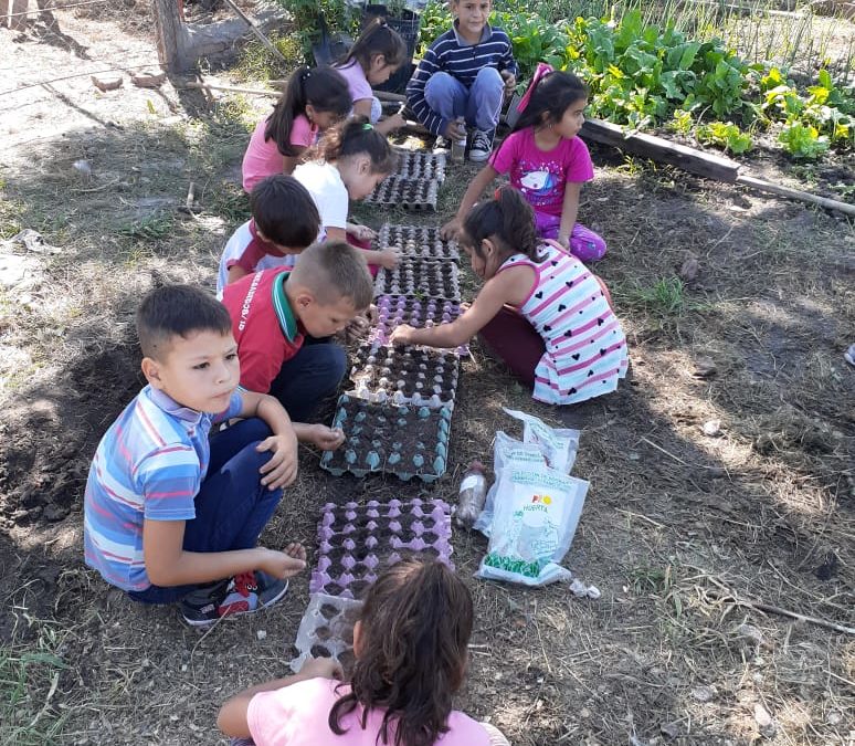 ¡La escuela Nº563 de Chacho empezó el año construyendo la huerta!