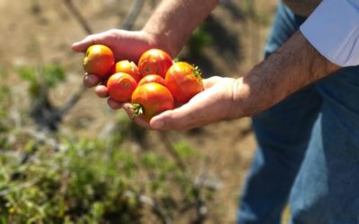 ¡Cuidemos nuestros alimentos!