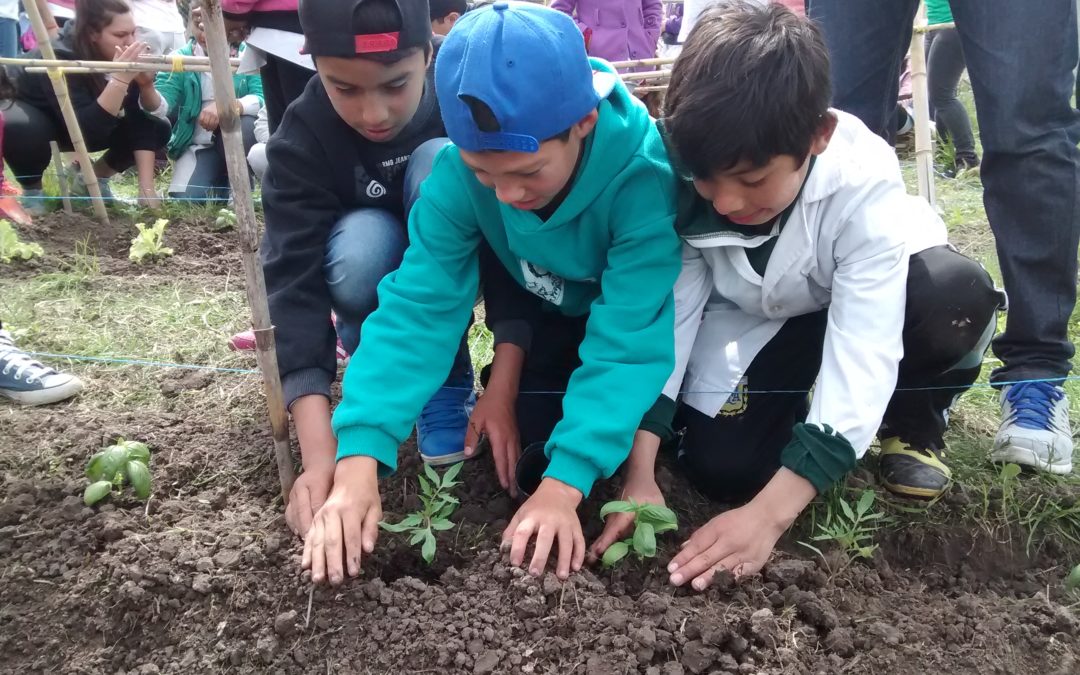 ¡Las familias y los docentes son nuestros héroes de la alimentación!