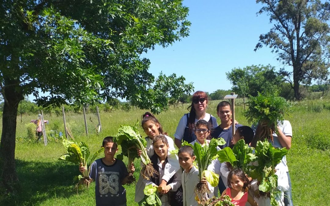 ¡Aprovechá las frutas y verduras de estación!