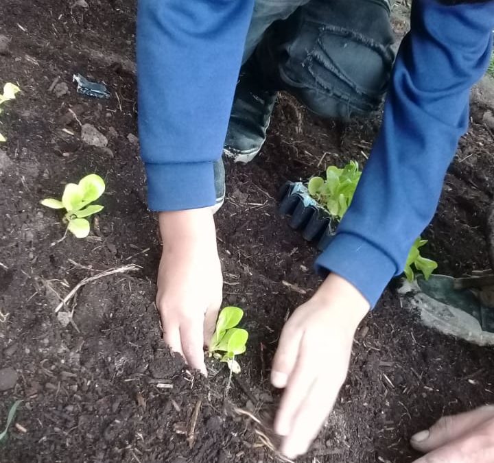 100 familias empiezan su huerta gracias a nuestro Programa «Huertas Familiares»